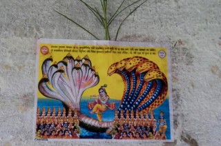 आज नाग पञ्चमी : नागको पूजा गरी मनाइँदै