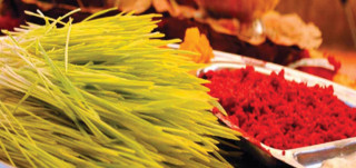 आज कोजाग्रत पूर्णिमा, वडादशैं समापन हुँदै