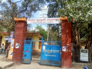 अखिल क्रान्तिकारीले भैरहवा बहुमुखीमा हाजिरीजवाफ प्रतियोगिता गर्दै