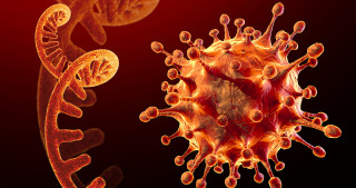 कोरोनाको नयाँ भेरियन्टको जोखिम बढेको भन्दै सतर्कता अपनाउन स्वास्थ्य मन्त्रालयको आग्रह