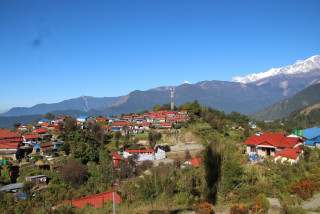 राष्ट्रिय तथ्यांकको विवरण : नेपालमा सबैभन्दा बढी एकतले घर