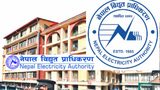 विद्युत् प्राधिकरणमा मागियो नयाँ कर्मचारी, सहनिर्देशकदेखि मिटर रिडरसम्ममा आवेदन दिन सकिने