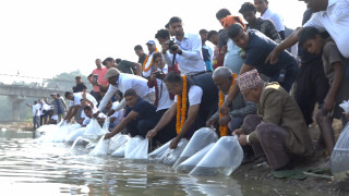 रासायनिक र प्लाष्टिकजन्य फोहोरले माछाको संख्यामा कमी