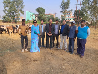 लुम्बिनीमा छाडा चौपाया व्यवस्थापन गर्न कोष र नगरपालिकाबीच सहकार्य