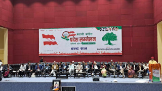 तहगत संरचनालाई पूर्णरुपमा जिम्मेवारी दिन केन्द्रसँग कांग्रेस लुम्बिनीको आग्रह