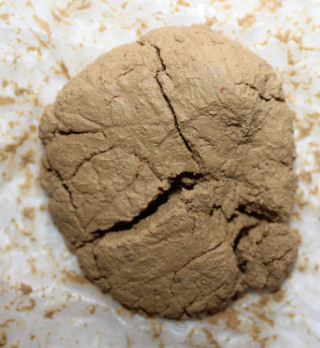 रुपन्देहीमा लागूऔषधसहित एकजना पक्राउ