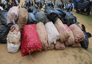 रुपन्देहीमा भन्सार छलेर ल्याइएको अवैध प्याज बरामद