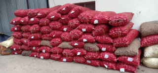 रुपन्देहीमा भन्सार छलेर ल्याइएको प्याज बरामद