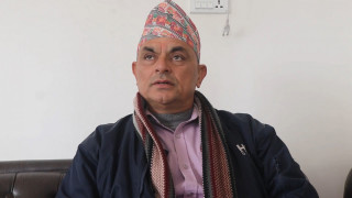 पोखरा १९ वडाध्यक्ष पाण्डे भन्छन् : बाँदर नियन्त्रणका लागि ठूला रुख काट्नु प्राथमिक उपचार हो