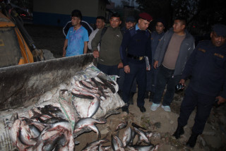 बुटवलमा ६ क्वीन्टल मरेका माछा बरामद