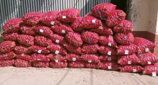 रुपन्देहीमा भन्सार छलेर ल्याइएको प्याज बरामद