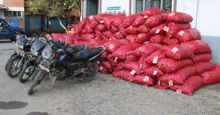 रुपन्देहीमा भन्सार छलीको १४० बोरा प्याज बरामद