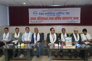 कमर्शियल आर्टिष्ट संघका अगुवा भन्छन्-राज्यले हामीलाई पहिचान गर्न सकेन