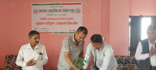 ‘उपचारमा ध्यान नदिदा धेरै नागरिकमा आँखासम्बन्धी रोगको समस्या’