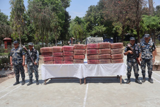 सशस्त्र प्रहरीद्वारा रुपन्देहीमा भारतीय कन्टनेरबाट २७२ केजी गाँजा बरामद