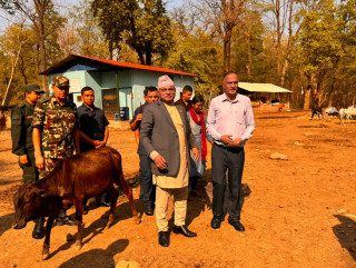 छाडा चौपाया व्यवस्थापनमा प्रदेशले चासो दिन्छ : मुख्यमन्त्री महरा