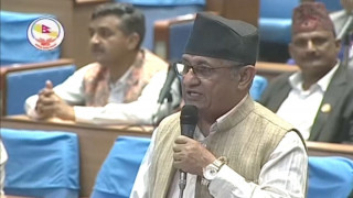 क्यानको नेतृत्वमाथि छानविन गर्न आयोग गठन गरौं : सांसद आचार्य