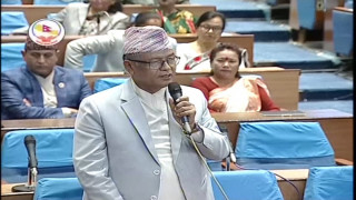 बेलग्रेडमा अलपत्र युवालाई स्वदेश फर्काइयोस्, म्यानपावरलाई कारबाही होस् : उपसभापति गुरुङ