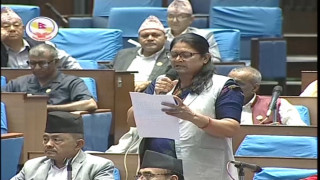 तराई/मधेसका जिल्लामा शान्ति सुरक्षा बिग्रियो : सांसद थपलिया