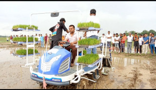 रोहिणीमा मनाइयो २१ औं राष्ट्रिय धान दिवस