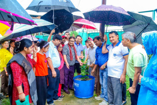 सिद्धार्थनगर–९ मा तीनवटा संस्थाद्वारा संयुक्त वृक्षारोपण