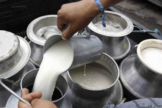 दुग्ध वितरण आयोजनाले कृषकहरुलाई करिब ३६ करोड दुधको बक्यौता तिर्न बाँकी