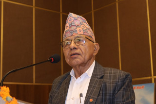 लिला गिरीले दिए एमाले संसदीय दलको नेताबाट राजीनामा