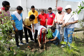 रोटरी सेन्ट्रल लुम्बिनीद्वारा वृक्षरोपण तथा विरुवा वितरण