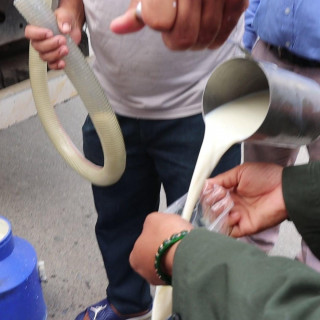 बुटवलमा गुणस्तर मापदण्ड भन्दा विपरीत दुध विक्री