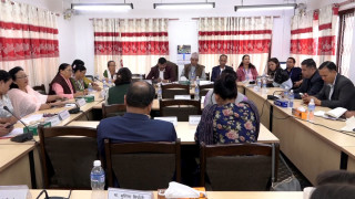 हिंसा पीडित महिलाहरुलाई हेर्ने छुट्टै निकाय गठन गर्न सरकारसँग सांसदहरुको माग