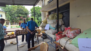 पर्सामा चार सय ८९ केजी लागुऔषधसहित एकजना पक्राउ