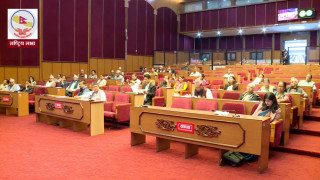 राष्ट्रिय सभामा टिआरसी विधेयक पेश