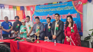 अर्घाखाँची सम्पर्क मञ्च दक्षिण कोरियाद्वारा तीज विशेष कार्यक्रम