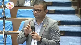 संसदको गरिमा बचाउन उपसभामुखले राजीनामा दिनुपर्छ :  सांसद गिरी