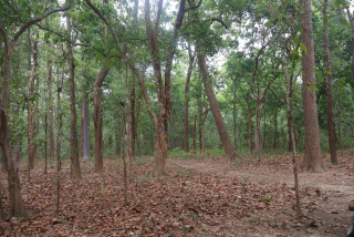 मानव वन्यजन्तु द्वन्द्व न्यूनीकरण गर्ने प्रदेश सरकारको योजना