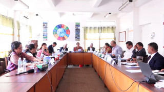 ‘अन्तर्राष्ट्रिय सम्मेलनमा सहभागी हुने प्रतिनिधि घटाऔँ, रमाइलोमा सिमित नगरौँ’ :  सांसदहरु