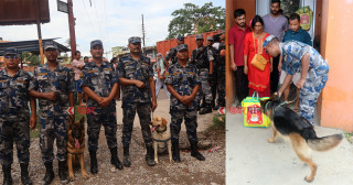 अब ‘डेजी र साया’ ले गर्नेछन् सीमामा निगरानी