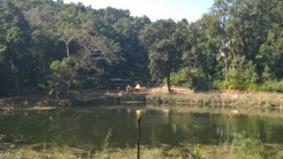 सत्यवती मेलाको तयारी तिब्र