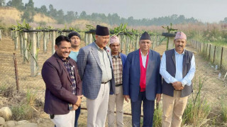 निरोगीताको लागि योग र प्राकृतिक चिकित्सा स्वास्थ्य जरुरी : मुख्यमन्त्री आचार्य