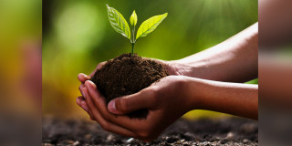 लुम्बिनी महोत्सवमा खेतीयोग्य जमिनको निःशुल्क माटो परीक्षण गरिने