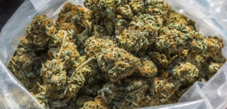 सरकारी नम्बर प्लेटका दुई गाडीबाट ६ सय ९० किलो गाँजा बरामद