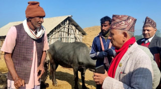 भैंसीपालक किसानको घरआँगनमा प्रदेश सरकार, दुधको बजारीकरण गर्न पहल