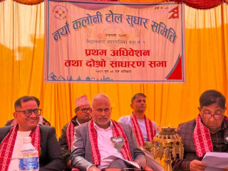 नयाँ कलोनीको अध्यक्षमा पुनः पाण्डे, सचिवमा रिजाल