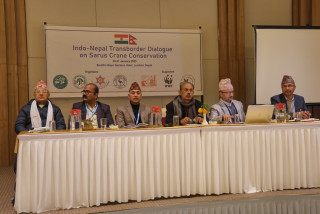 सारस संरक्षणका लागि हातेमालो गरेर अघि बढ्ने प्रतिवद्धता