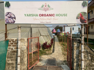 तिलोत्तमामा खुल्यो यार्सा अर्गानिक हाउस