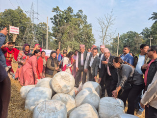 १० वटा लायन्सको आयोजनामा गौशालामा आहारा प्रदान