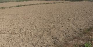 सेमलार र मोतीपुरको माटोमा प्रांगारिक पदार्थको कमी र क्षारियपन बढी