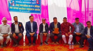 डीपी अर्यालको दावी : रास्वपामा कुनै गुट छैन