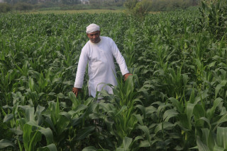 आधुनिक खेती प्रणाली अपनाउँदै सेमलारका किसान