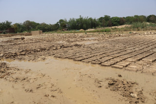बेमौसमी वर्षाले रूपन्देहीमा साढे ७ करोडको काँचो ईट्टा नष्ट